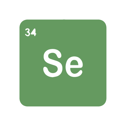 Technology that inspires - Macrospark Technologies